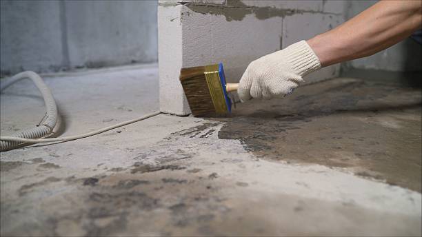 24/7 Emergency Interior Drainage System experts in New Hudson, MI